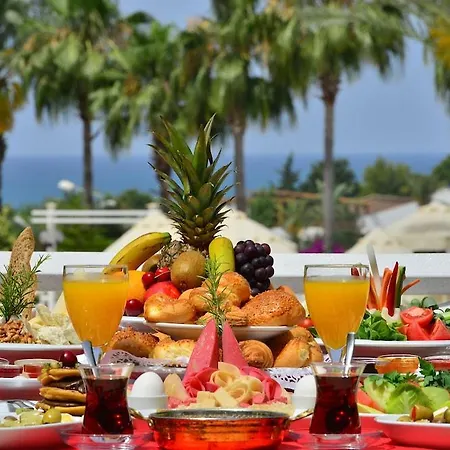 Seaden Corolla סייד