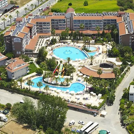 Seaden Corolla סייד