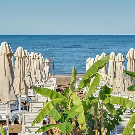 Seaden Corolla סייד