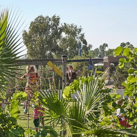 Seaden Corolla סייד