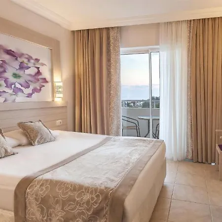 Seaden Corolla סייד